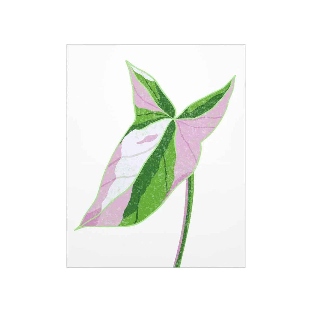 Syngonium Tricolor Print – Botanical Wall Art | Variegated Leaf Poster Unframed - The Potted Pixel