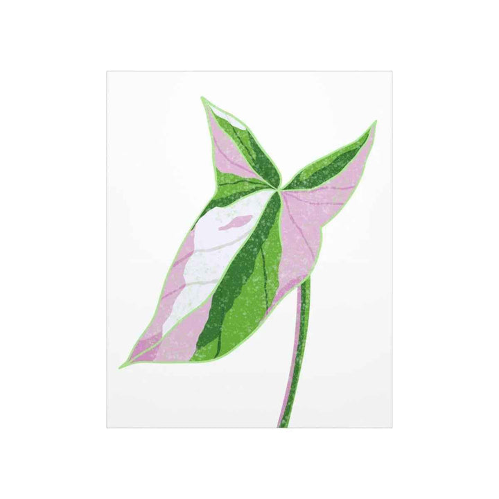 Syngonium Tricolor Print – Botanical Wall Art | Variegated Leaf Poster Unframed - The Potted Pixel