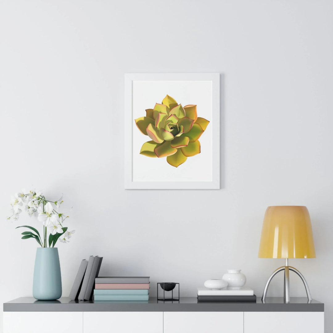 Noble Aeonium Succulent Framed Print, Poster, Printify, Framed, Home & Living, Indoor, Paper, Posters, Laura Christine Photography & Design, laurachristinedesign.com