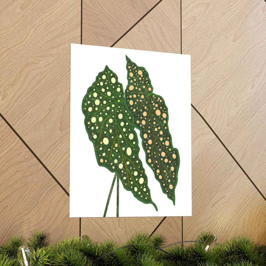 Begonia Maculata Print - Botanical Wall Art on Museum Grade Paper | Matte Finish Unframed - The Potted Pixel