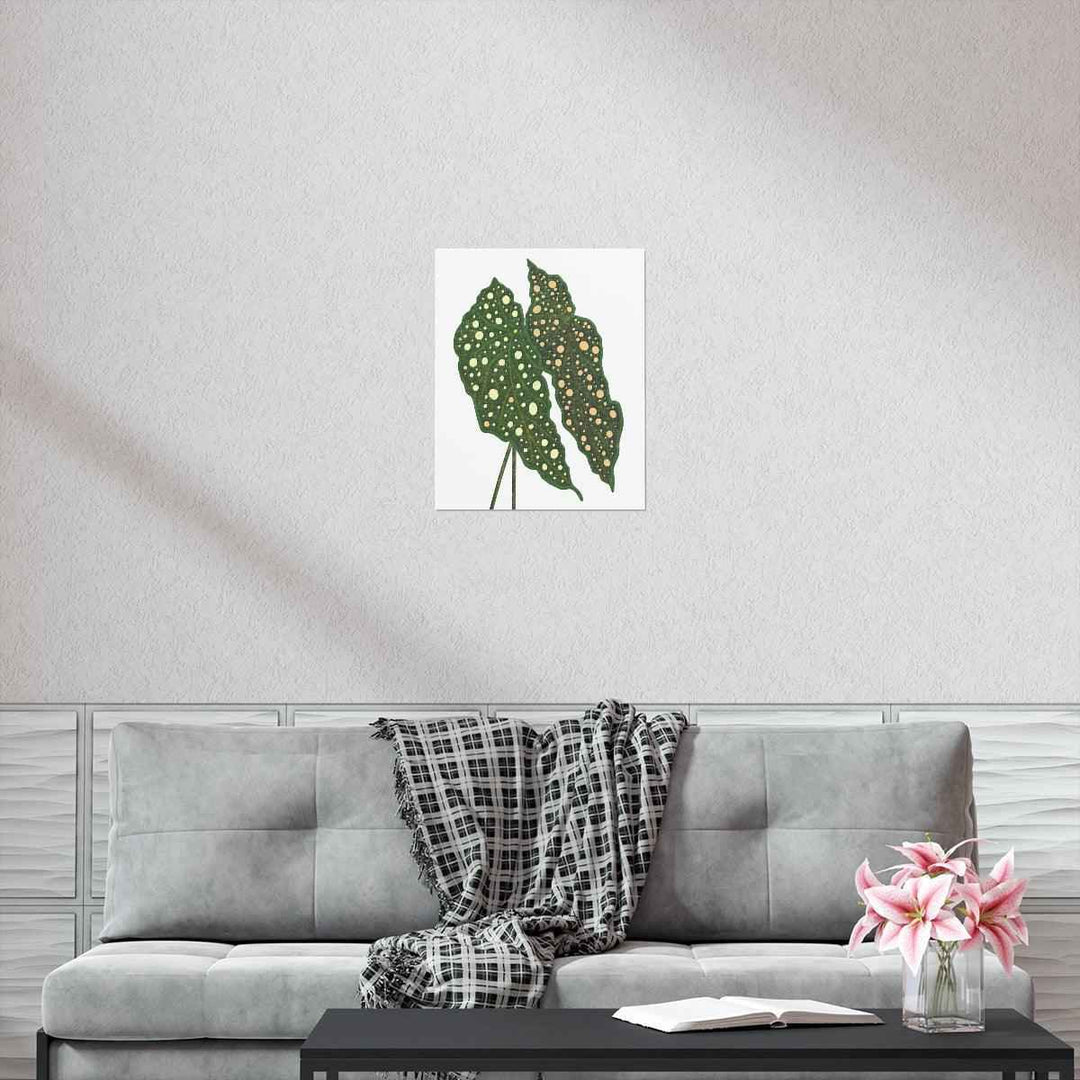 Begonia Maculata Print - Botanical Wall Art on Museum Grade Paper | Matte Finish Unframed - The Potted Pixel