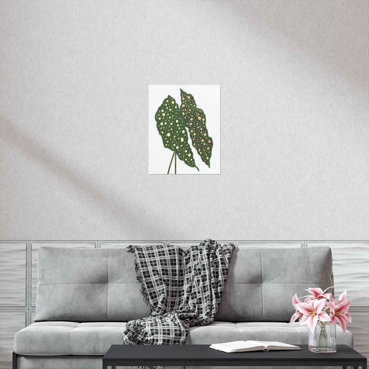 Begonia Maculata Print - Botanical Wall Art on Museum Grade Paper | Matte Finish Unframed - The Potted Pixel