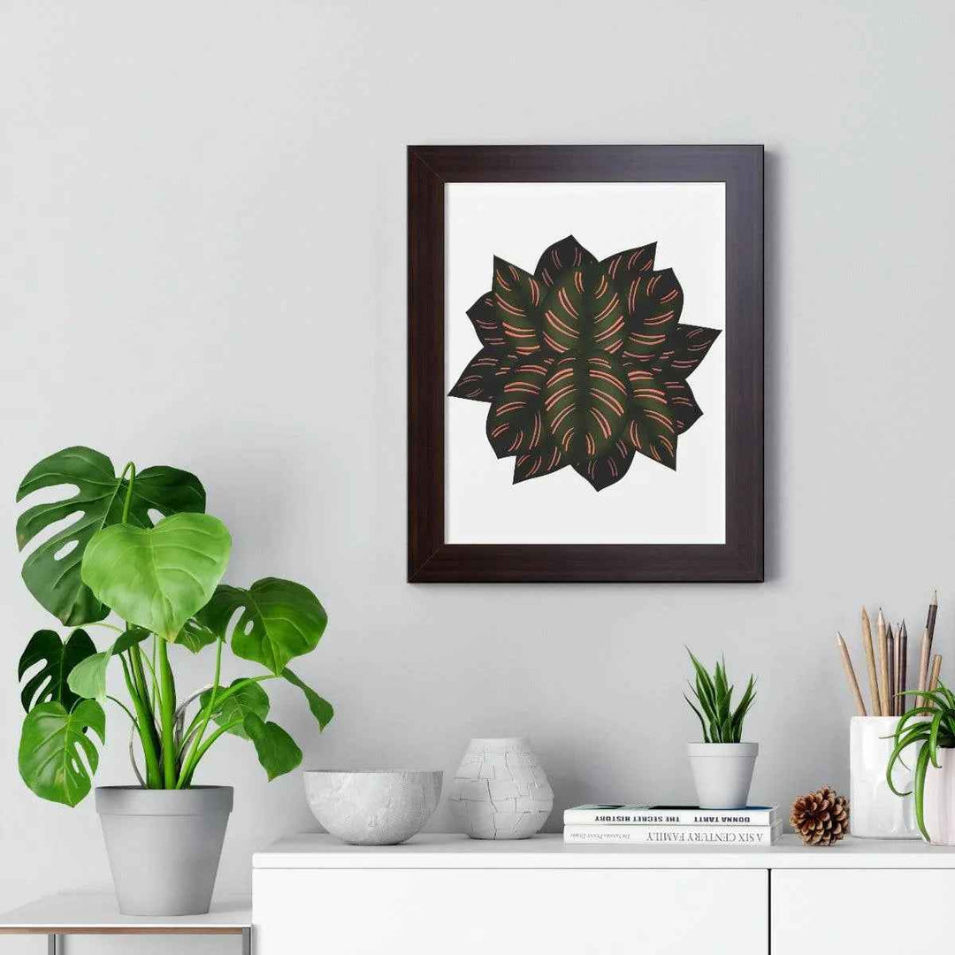 Calathea Pinstripe Print - Framed Botanical Art With Matte Finish & Acrylic Cover - The Potted Pixel