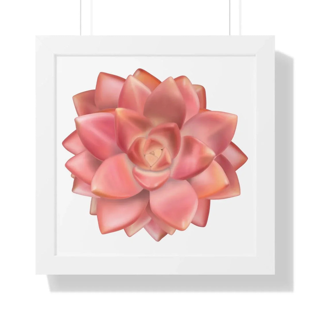 Graptosedum 'California Sunset' Succulent Framed Print, Poster, Laura Christine Photography & Design, Framed, Home & Living, Indoor, Paper, Posters, Laura Christine Photography & Design, laurachristinedesign.com