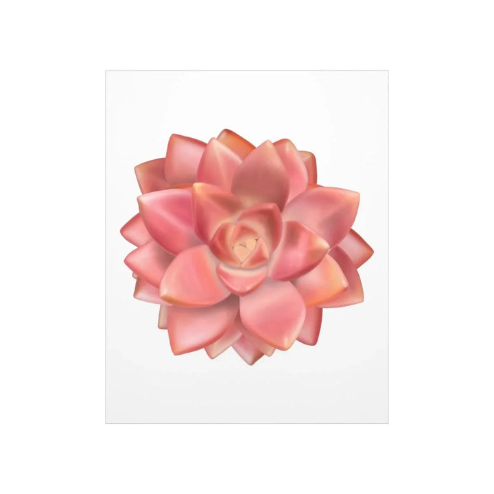 Graptosedum 'California Sunset'  Succulent Print, Poster, Laura Christine Photography & Design, Back to School, Home & Living, Indoor, Matte, Paper, Posters, Valentine's Day promotion, Laura Christine Photography & Design, laurachristinedesign.com