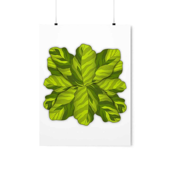 Calathea Yellow Fusion Print – Botanical Wall Art on Museum-Grade Paper Unframed - The Potted Pixel