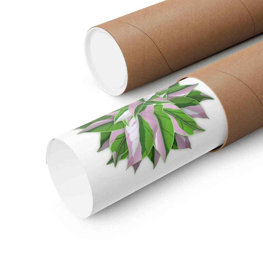 Syngonium Tricolor Botanical Print – Unframed Wall Art - The Potted Pixel