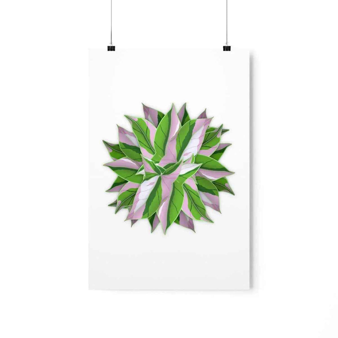 Syngonium Tricolor Botanical Print – Unframed Wall Art - The Potted Pixel
