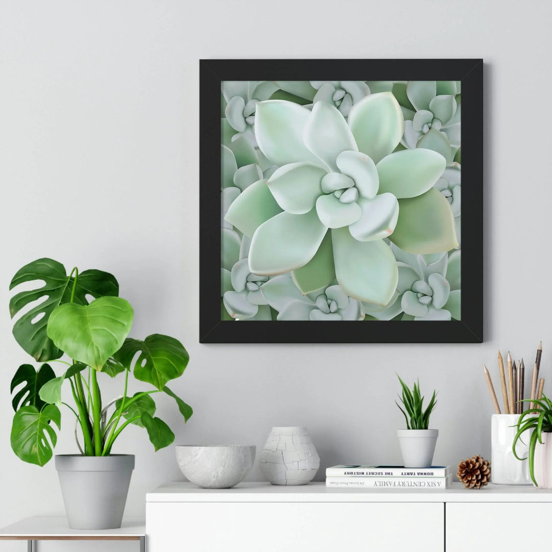Pachyveria Haagei Succulent Pattern Framed Print, Poster, Printify, Framed, Home & Living, Indoor, Paper, Posters, Laura Christine Photography & Design, laurachristinedesign.com