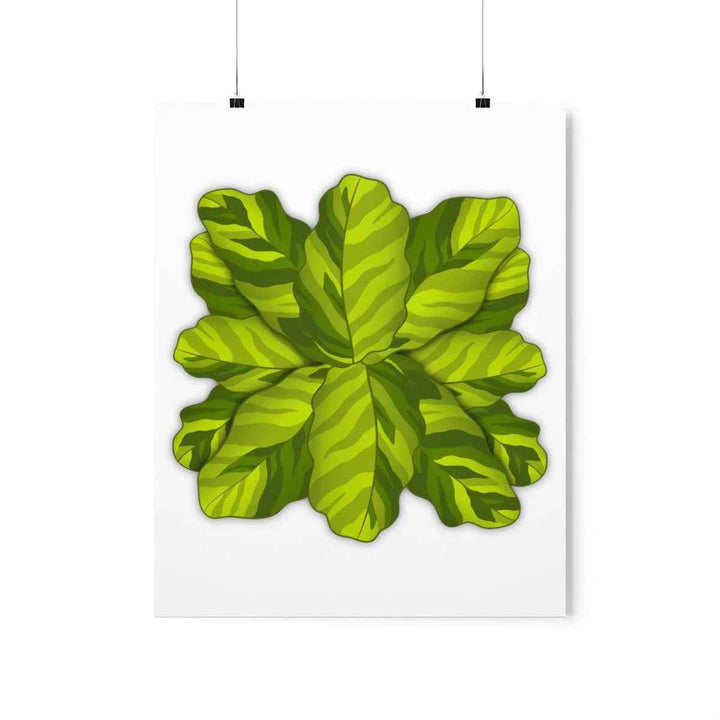 Calathea Yellow Fusion Print – Botanical Wall Art on Museum-Grade Paper Unframed - The Potted Pixel