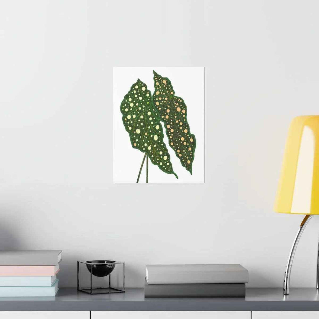 Begonia Maculata Print - Botanical Wall Art on Museum Grade Paper | Matte Finish Unframed - The Potted Pixel