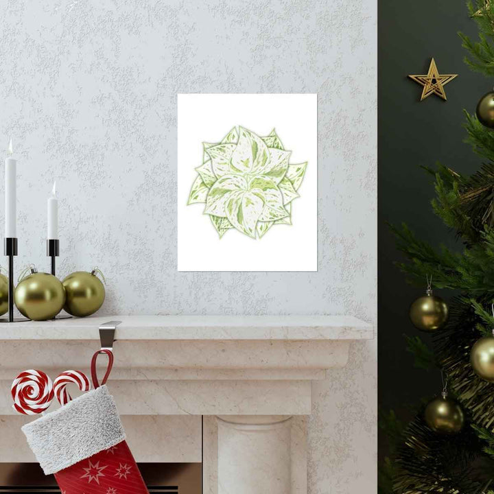 Snow Queen Pothos Print – Variegated Pothos Art on Museum Grade Paper Unframed - The Potted Pixel