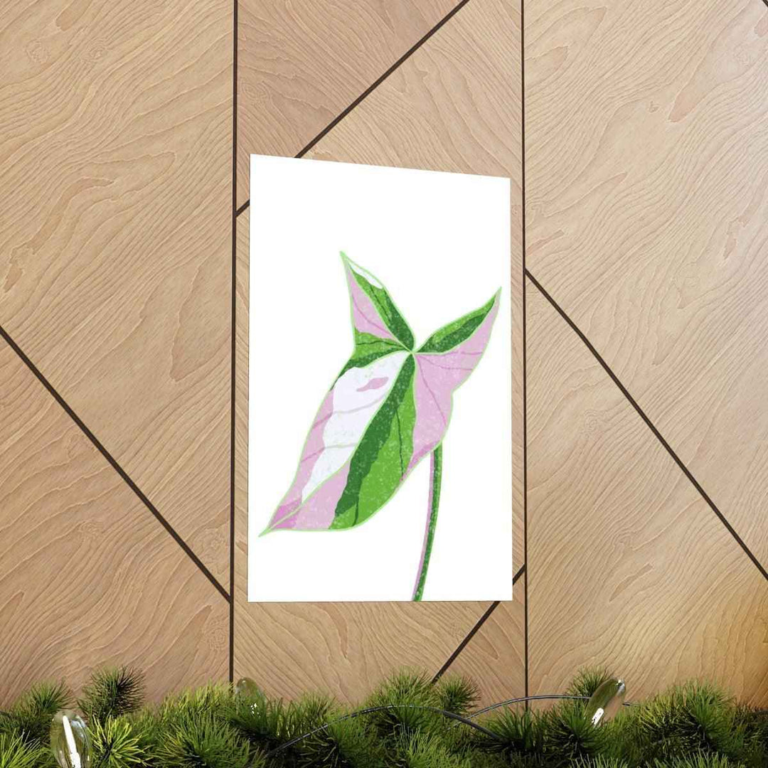 Syngonium Tricolor Print – Botanical Wall Art | Variegated Leaf Poster Unframed - The Potted Pixel