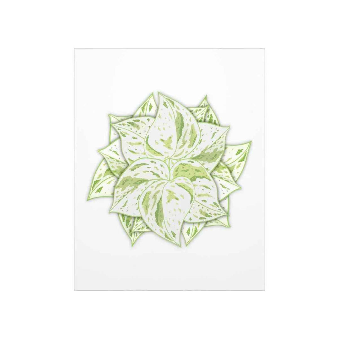 Snow Queen Pothos Print – Variegated Pothos Art on Museum Grade Paper Unframed - The Potted Pixel