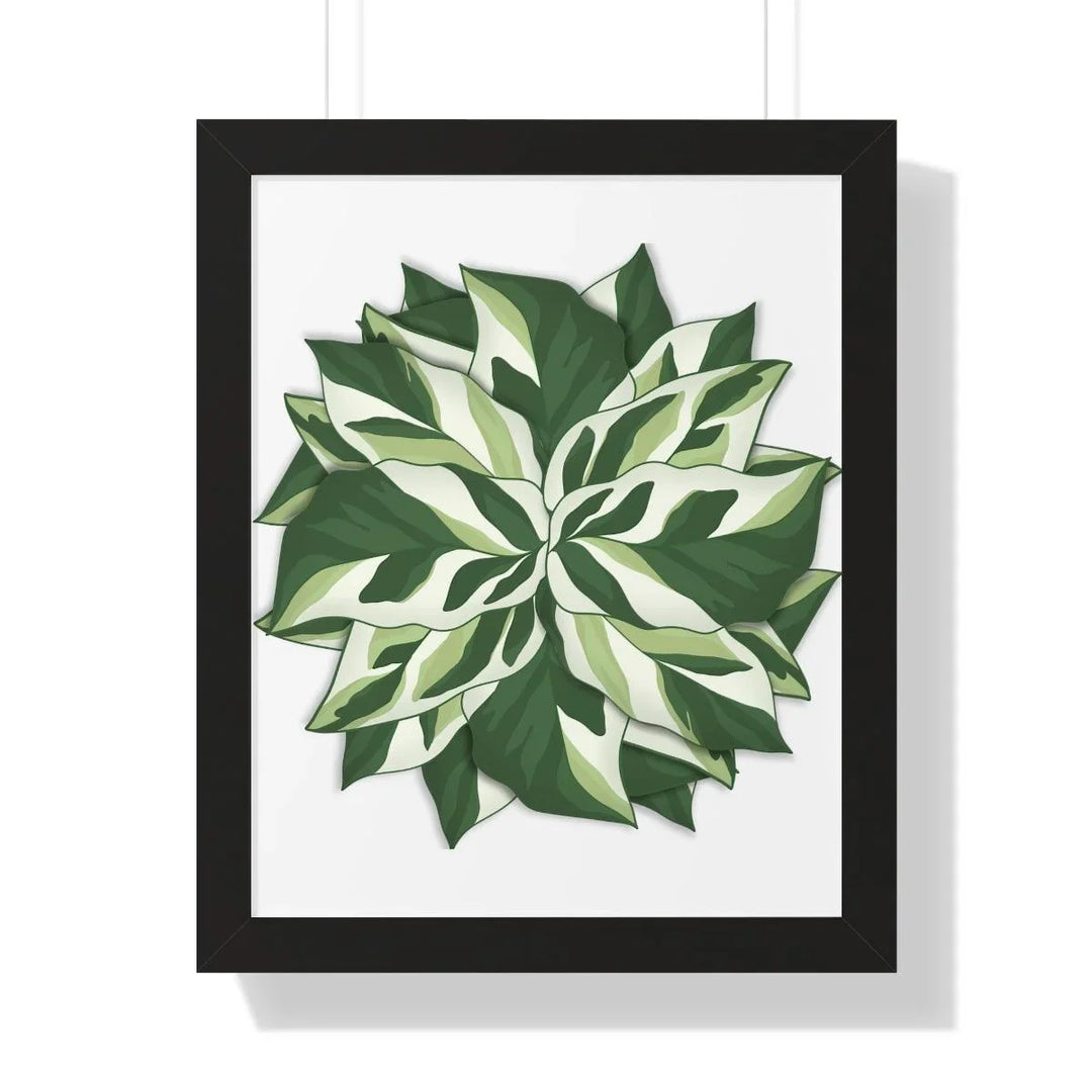 Calathea White Fusion Framed Print, Poster, Laura Christine Photography & Design, Bottle, Calathea, Canvas Bag, Coffee, Drinkware, Framed, Home & Living, Indoor, Paper, Posters, Prayer Plant, Reusable, Shopping Bag, Tea, Tote Bag, Travel, Tumbler, Water, White Fusion, Laura Christine Photography & Design, laurachristinedesign.com