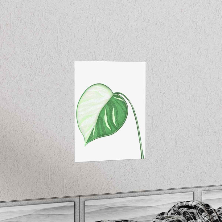 Monstera Albo Print – Large Tropical Leaf Poster | Museum Grade Paper Artwork Unframed