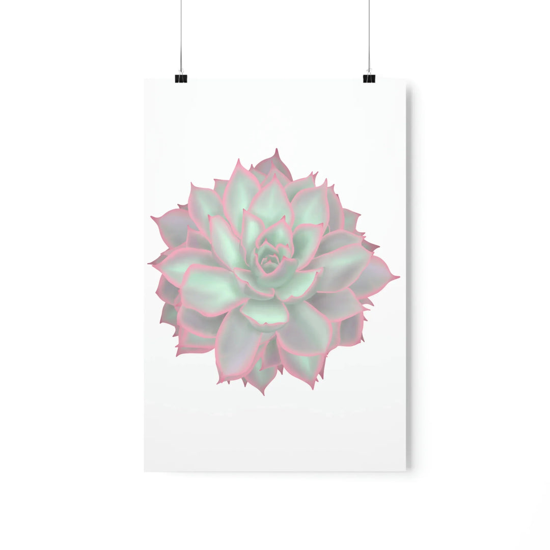Echeveria Violet Queen Print Succulent Wall Art Botanical Poster On Museum Grade Paper For Indoor Plant Decor