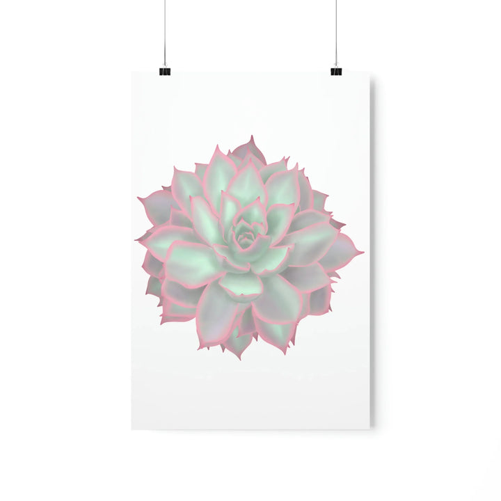 Echeveria Violet Queen Print Succulent Wall Art Botanical Poster On Museum Grade Paper For Indoor Plant Decor