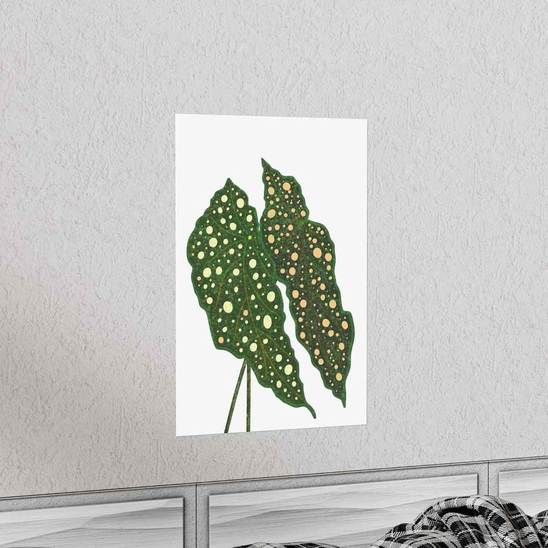 Begonia Maculata Print - Botanical Wall Art on Museum Grade Paper | Matte Finish Unframed - The Potted Pixel