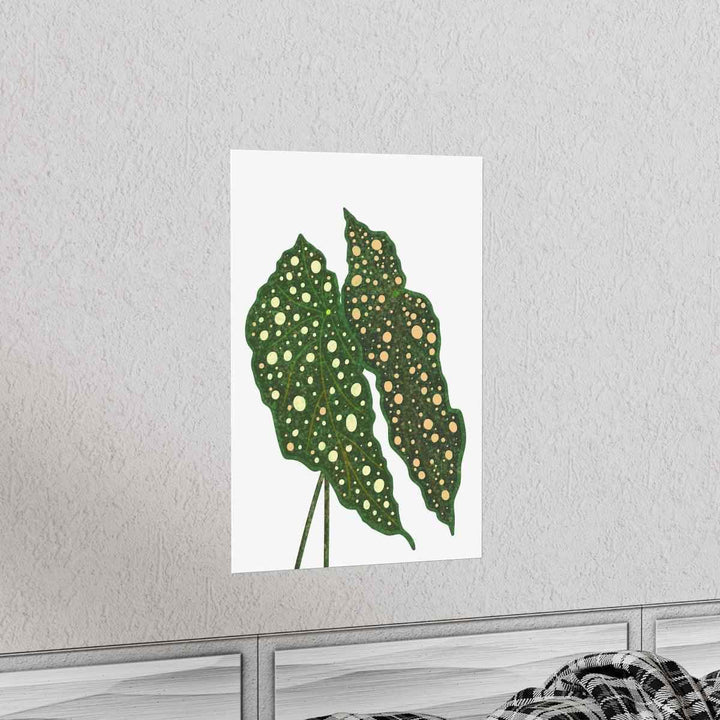 Begonia Maculata Print - Botanical Wall Art on Museum Grade Paper | Matte Finish Unframed - The Potted Pixel
