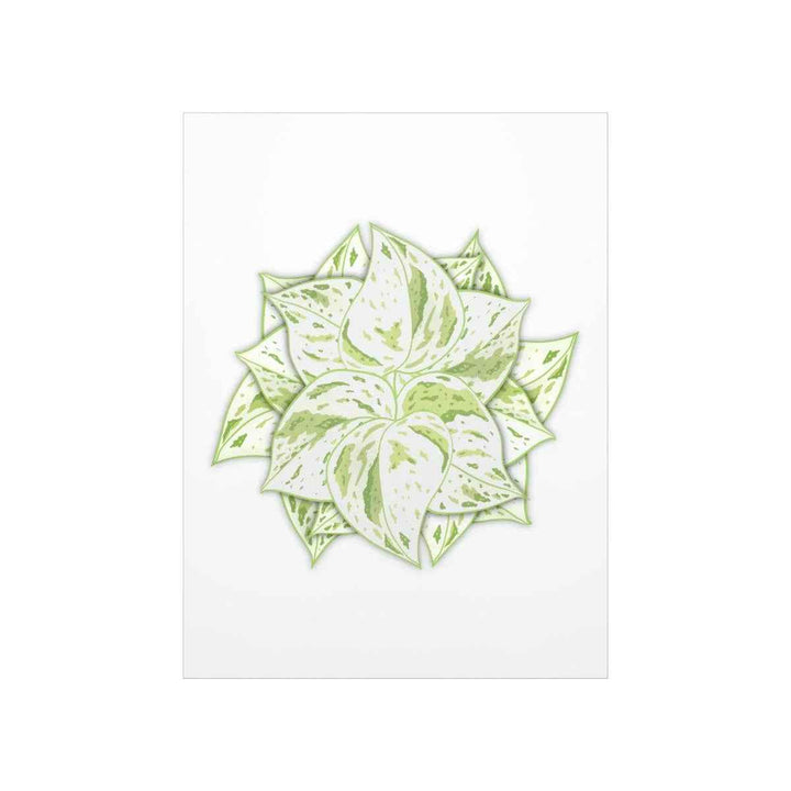 Snow Queen Pothos Print – Variegated Pothos Art on Museum Grade Paper Unframed - The Potted Pixel