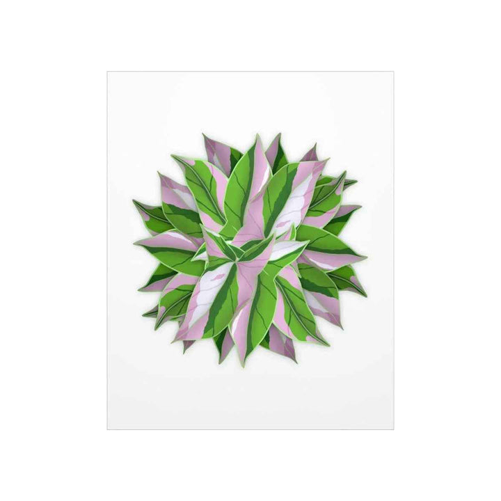 Syngonium Tricolor Botanical Print – Unframed Wall Art - The Potted Pixel