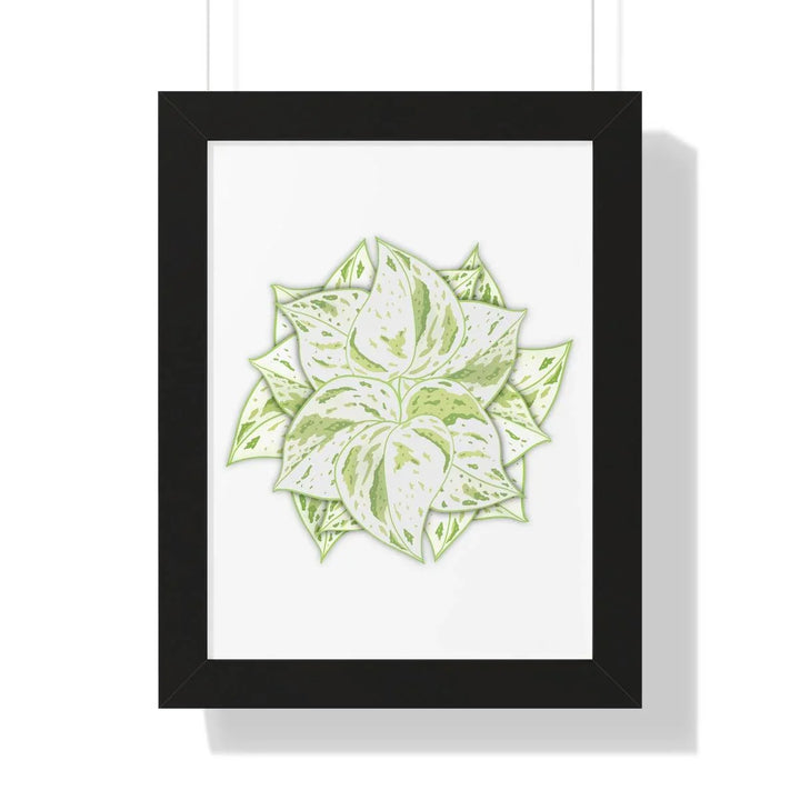Snow Queen Pothos Framed Print, Poster, Laura Christine Photography & Design, Framed, Home & Living, Indoor, Paper, Posters, Laura Christine Photography & Design, laurachristinedesign.com