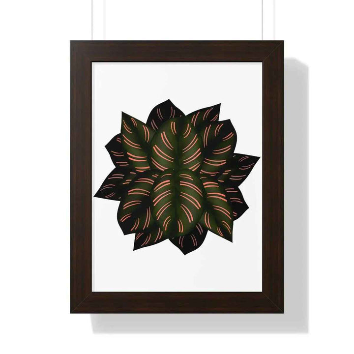 Calathea Pinstripe Print - Framed Botanical Art With Matte Finish & Acrylic Cover - The Potted Pixel