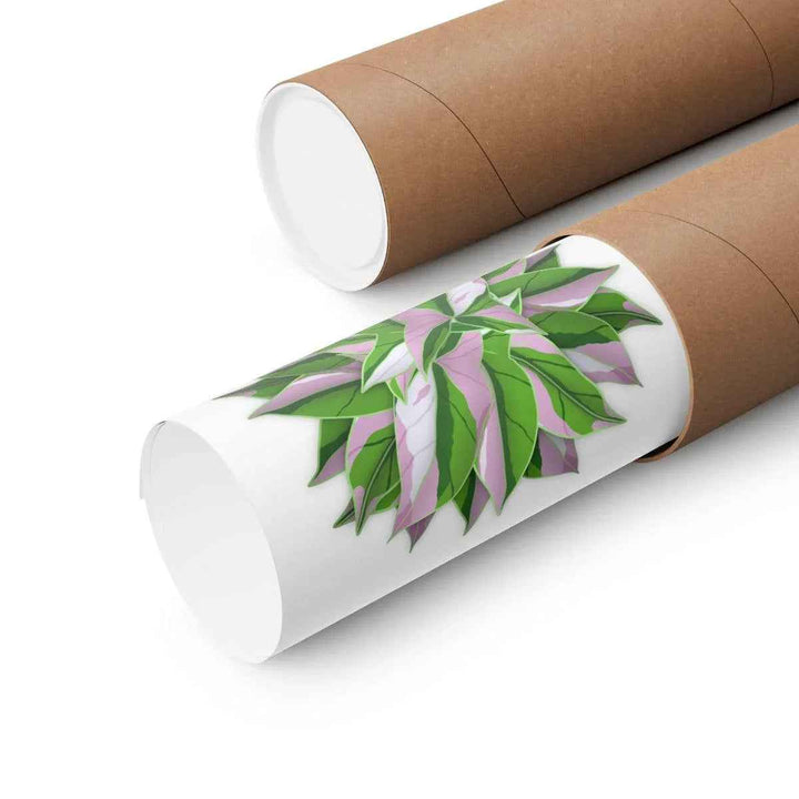 Syngonium Tricolor Botanical Print – Unframed Wall Art - The Potted Pixel