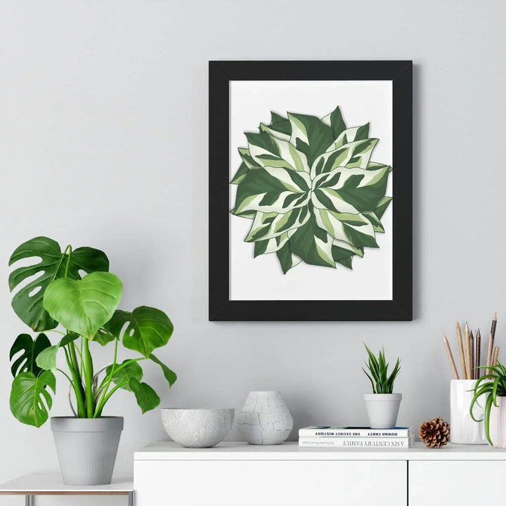 Calathea White Fusion Framed Print, Poster, Laura Christine Photography & Design, Bottle, Calathea, Canvas Bag, Coffee, Drinkware, Framed, Home & Living, Indoor, Paper, Posters, Prayer Plant, Reusable, Shopping Bag, Tea, Tote Bag, Travel, Tumbler, Water, White Fusion, Laura Christine Photography & Design, laurachristinedesign.com