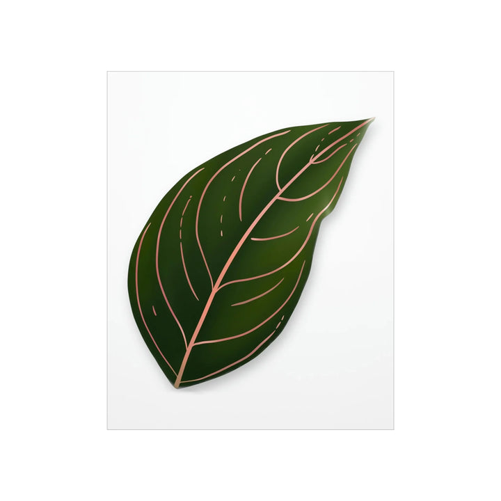 Aglaonema Rotundum Print Botanical Wall Art On Museum Grade Paper Unframed Poster Home Decor