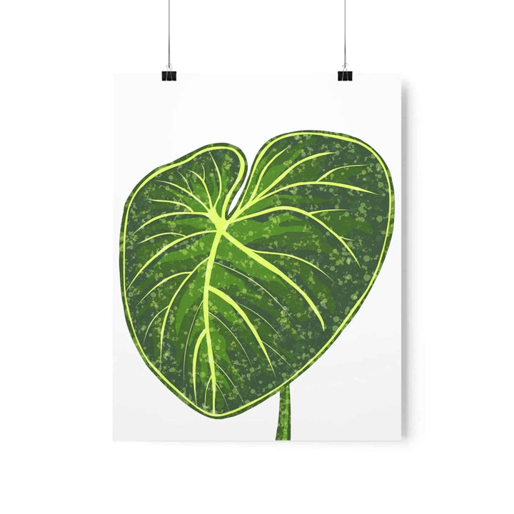 Philodendron Gloriosum Print Botanical Wall Art – Tropical Leaf Poster on Museum-Grade Paper - The Potted Pixel