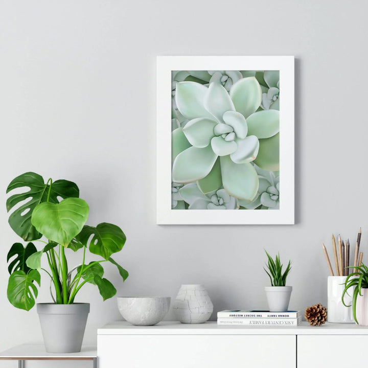 Pachyveria Haagei Succulent Pattern Framed Print, Poster, Printify, Framed, Home & Living, Indoor, Paper, Posters, Laura Christine Photography & Design, laurachristinedesign.com