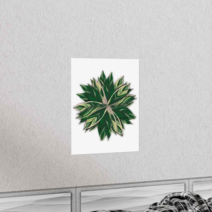 Stromanthe Triostar Print – Tropical Wall Art | Botanical Poster on Museum Grade Paper Unframed - The Potted Pixel