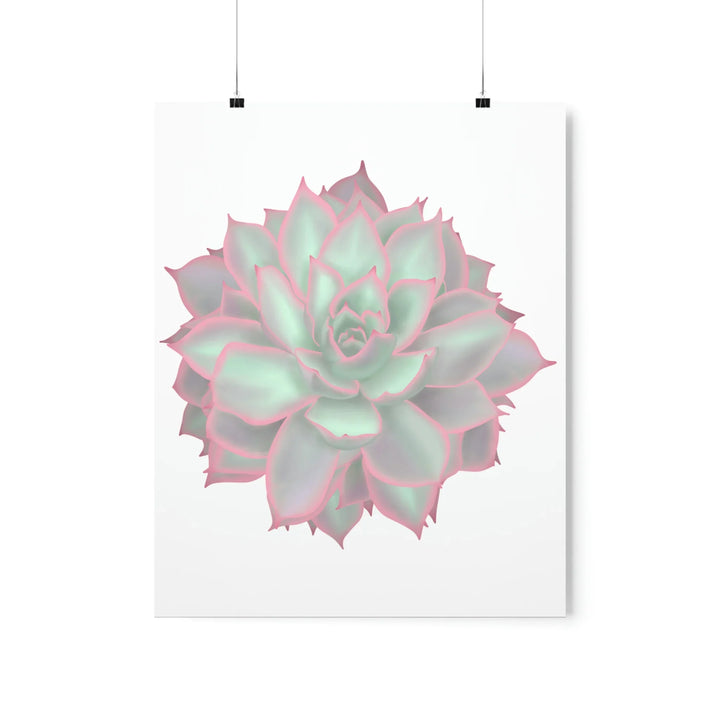Echeveria Violet Queen Print Succulent Wall Art Botanical Poster On Museum Grade Paper For Indoor Plant Decor