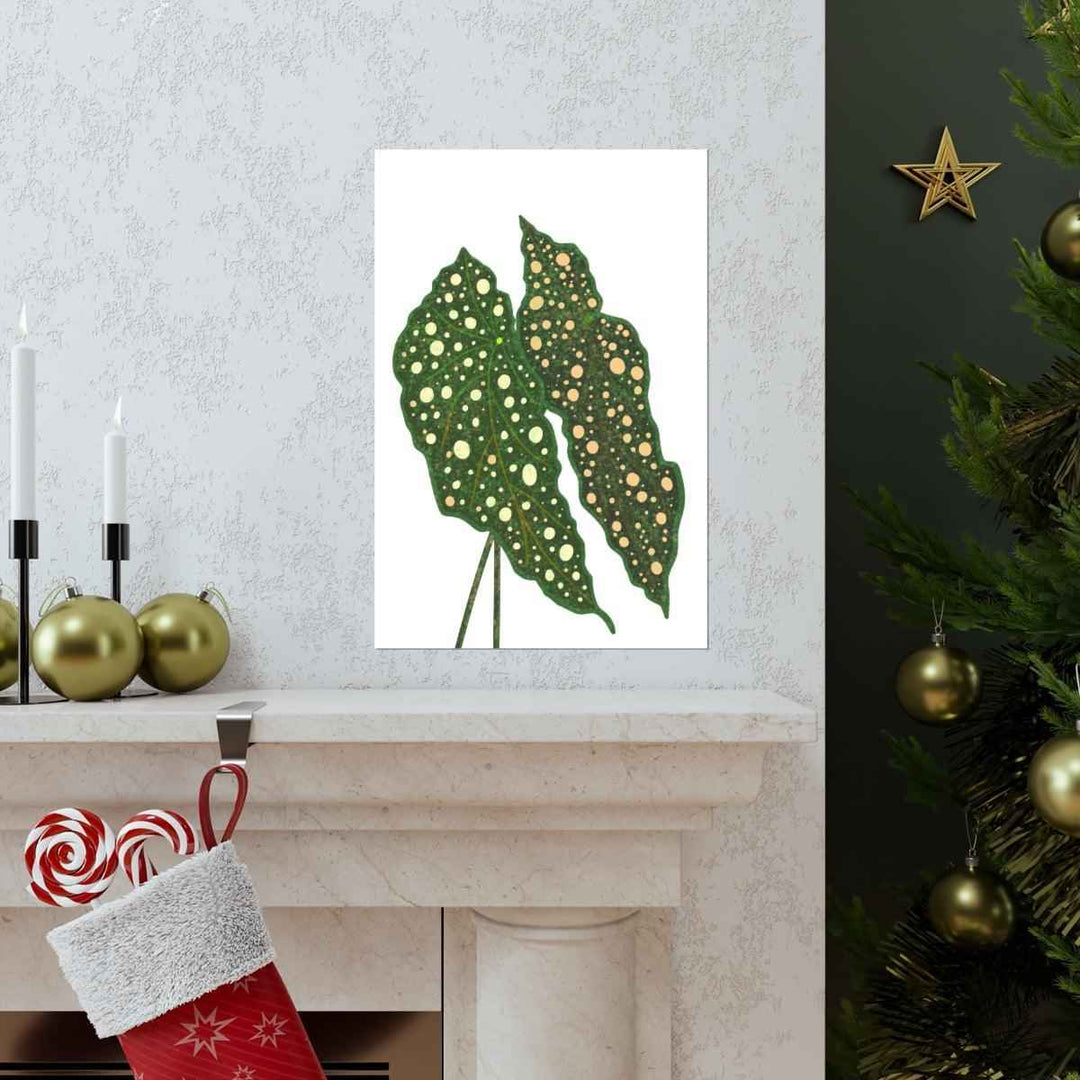 Begonia Maculata Print - Botanical Wall Art on Museum Grade Paper | Matte Finish Unframed - The Potted Pixel