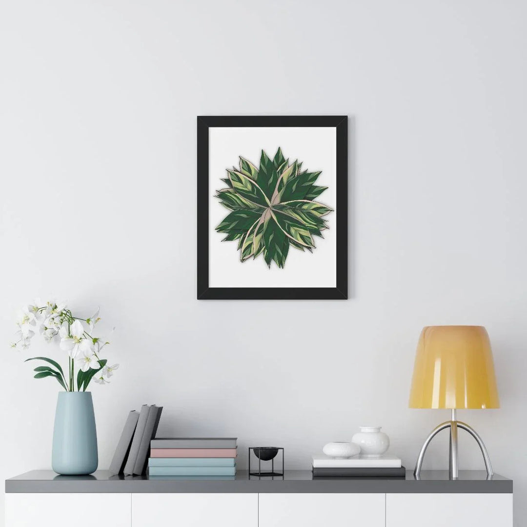 Stromanthe Triostar Framed Print, Poster, Laura Christine Photography & Design, Framed, Home & Living, Indoor, Paper, Posters, Laura Christine Photography & Design, laurachristinedesign.com