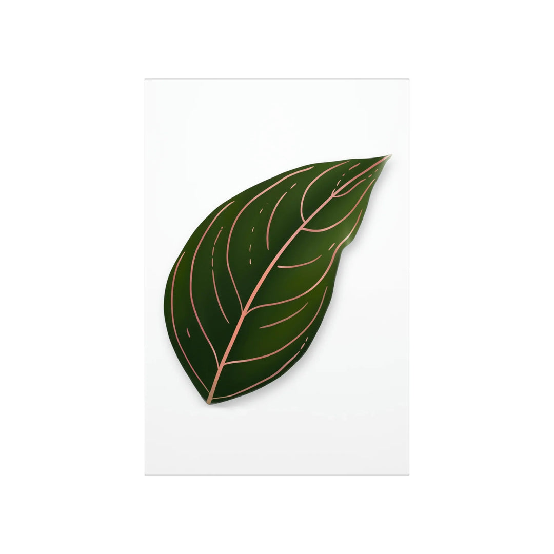 Aglaonema Rotundum Print Botanical Wall Art On Museum Grade Paper Unframed Poster Home Decor