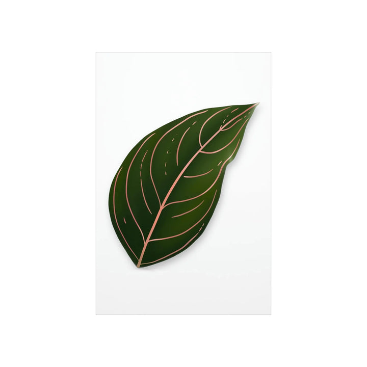 Aglaonema Rotundum Print Botanical Wall Art On Museum Grade Paper Unframed Poster Home Decor