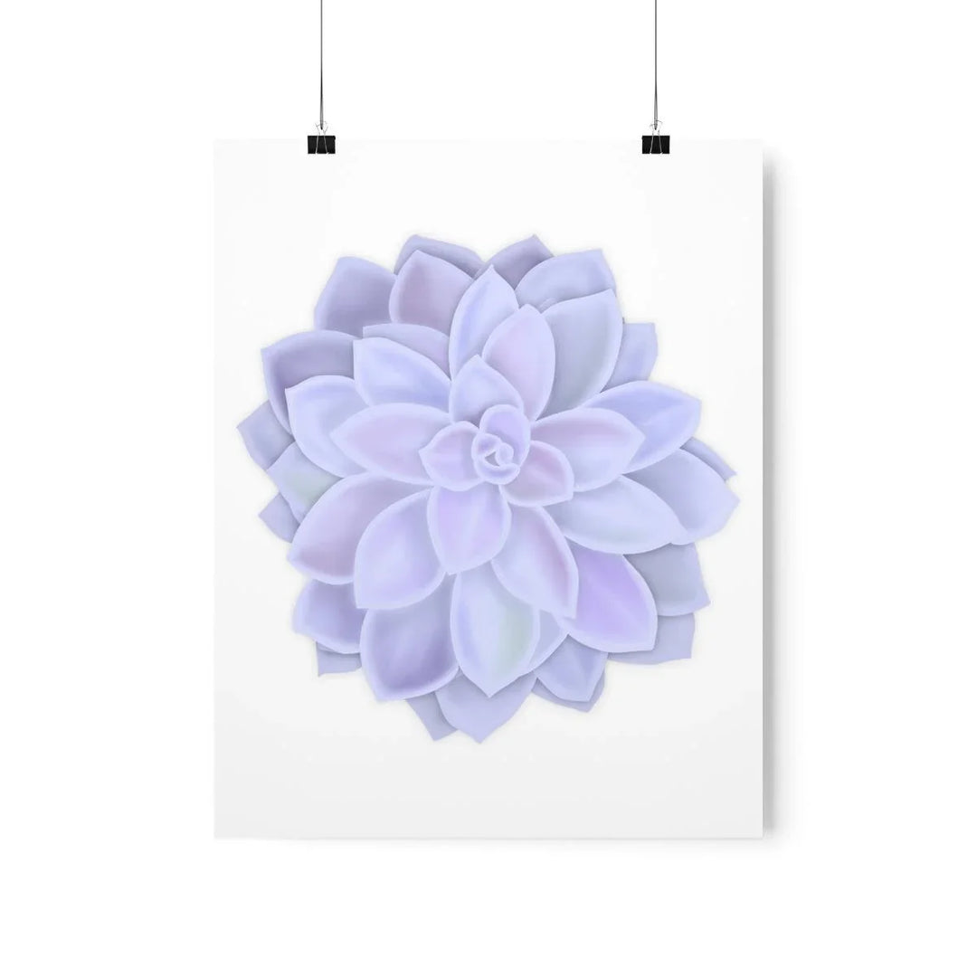 Graptopetalum 'Murasaki' Succulent Print, Poster, Laura Christine Photography & Design, Back to School, Home & Living, Indoor, Matte, Paper, Posters, Valentine's Day promotion, Laura Christine Photography & Design, laurachristinedesign.com