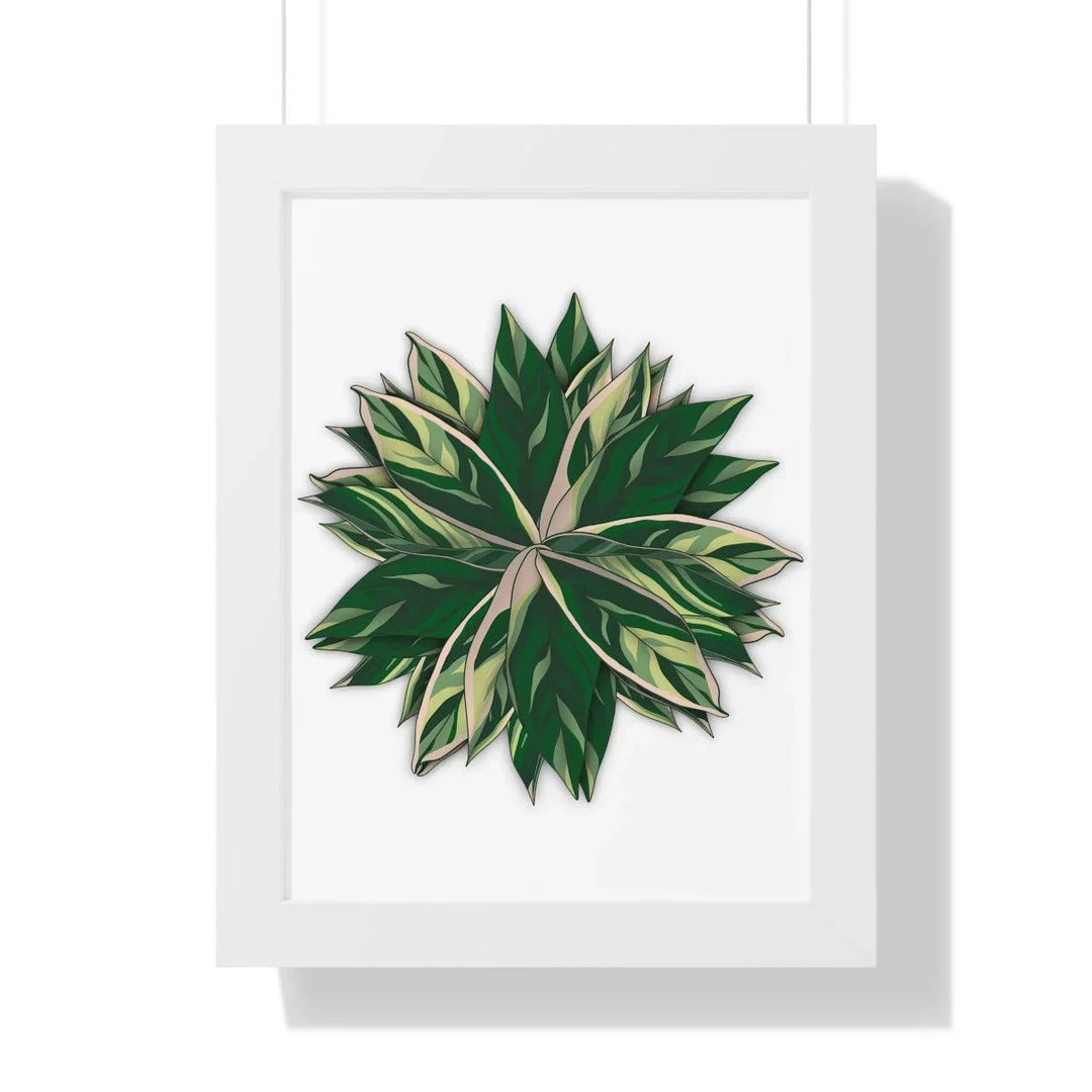 Stromanthe Triostar Framed Print, Poster, Laura Christine Photography & Design, Framed, Home & Living, Indoor, Paper, Posters, Laura Christine Photography & Design, laurachristinedesign.com