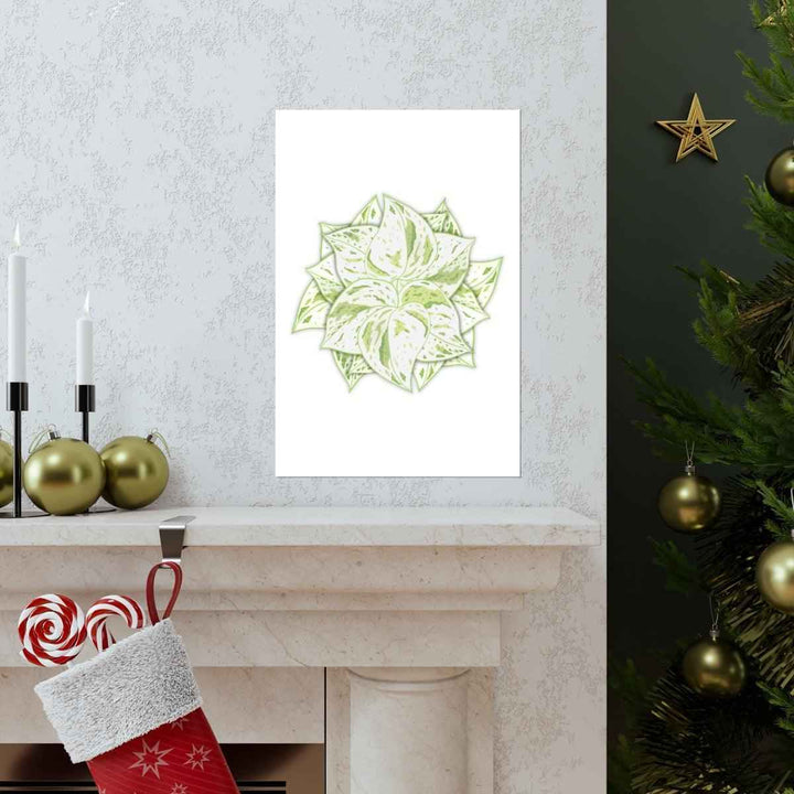 Snow Queen Pothos Print – Variegated Pothos Art on Museum Grade Paper Unframed - The Potted Pixel