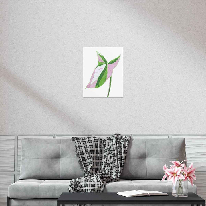 Syngonium Tricolor Print – Botanical Wall Art | Variegated Leaf Poster Unframed - The Potted Pixel