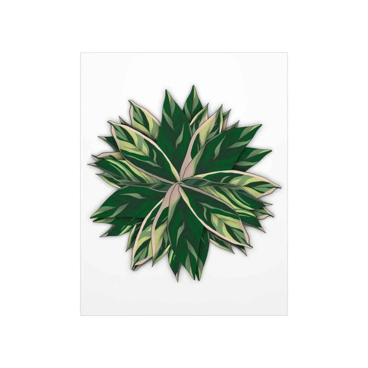 Stromanthe Triostar Print – Tropical Wall Art | Botanical Poster on Museum Grade Paper Unframed - The Potted Pixel