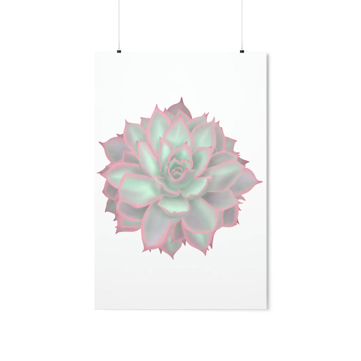 Echeveria Violet Queen Print Succulent Wall Art Botanical Poster On Museum Grade Paper For Indoor Plant Decor