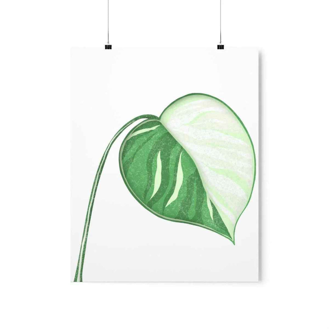 Monstera Albo Print – Large Tropical Leaf Poster | Museum Grade Paper Artwork Unframed