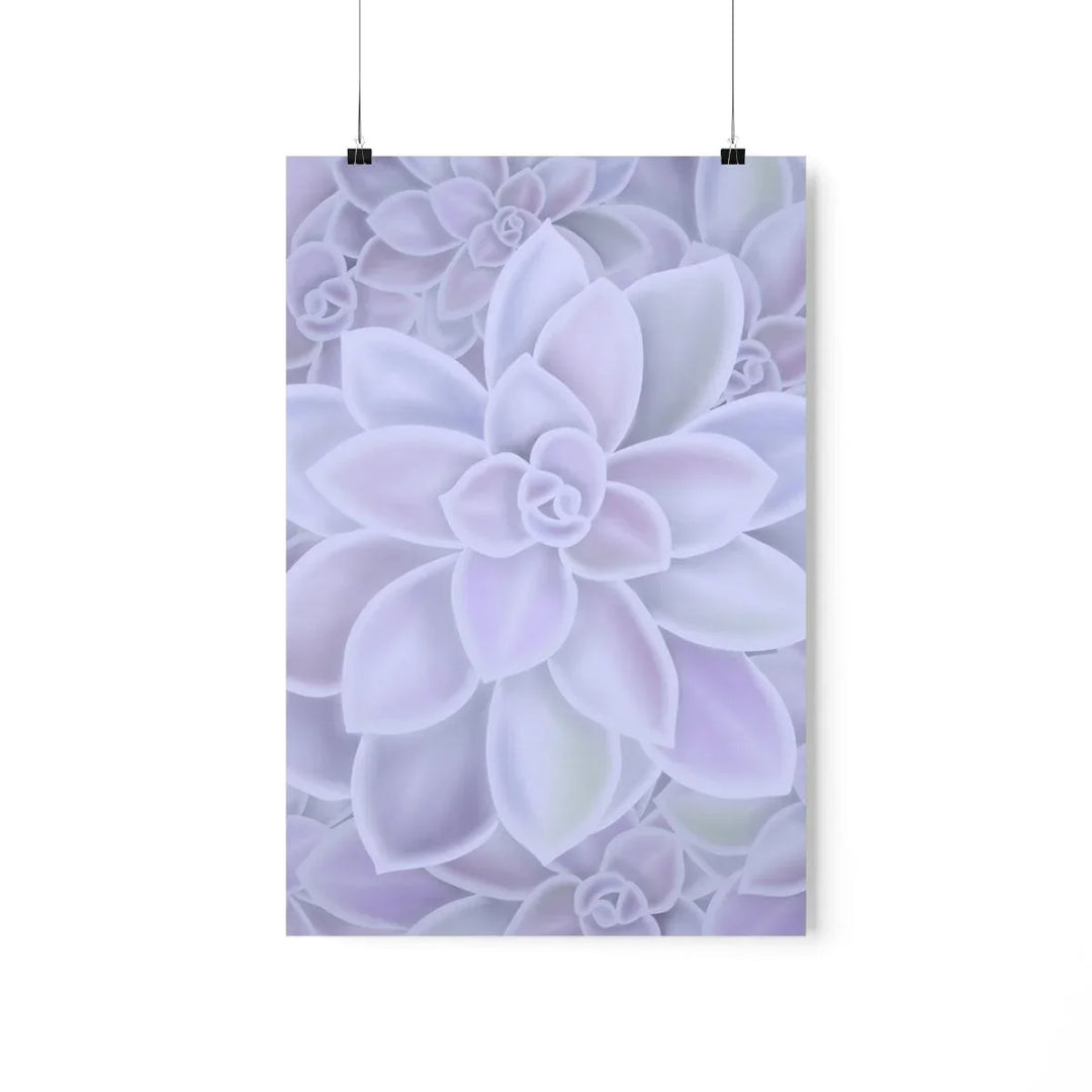 Graptopetalum 'Murasaki' Succulent Print, Poster, Laura Christine Photography & Design, Back to School, Home & Living, Indoor, Matte, Paper, Posters, Valentine's Day promotion, Laura Christine Photography & Design, laurachristinedesign.com