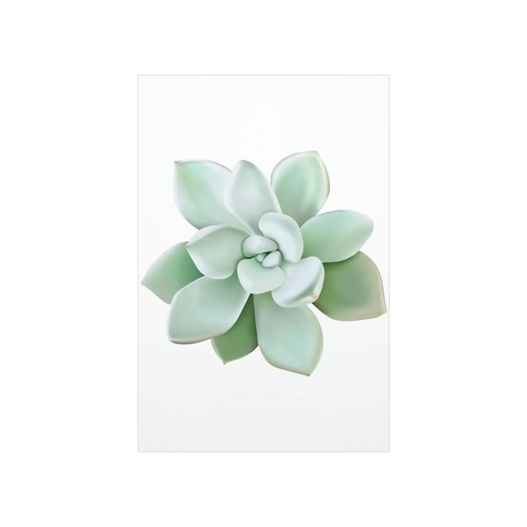 Succulent Wall Art Pachyveria Haagei Botanical Poster on Museum Grade Paper for Calm Home Decor