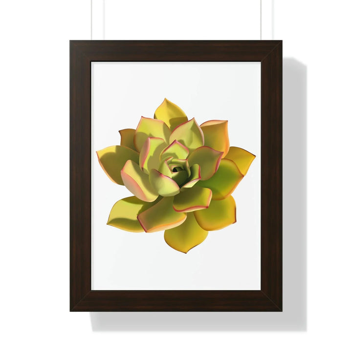 Noble Aeonium Succulent Framed Print, Poster, Printify, Framed, Home & Living, Indoor, Paper, Posters, Laura Christine Photography & Design, laurachristinedesign.com