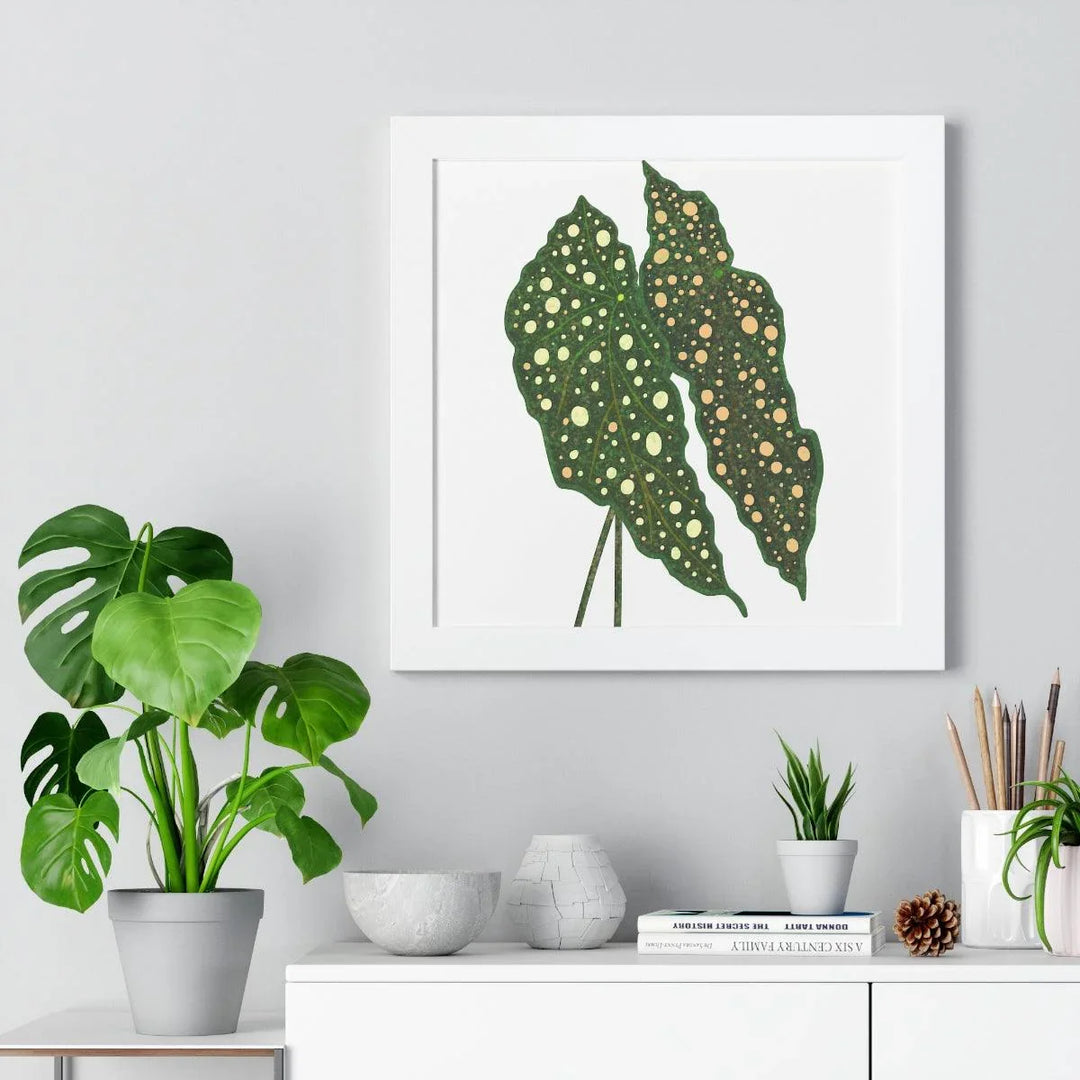 Begonia Maculata Framed Print, Poster, Laura Christine Photography & Design, Framed, Home & Living, Indoor, Paper, Posters, Laura Christine Photography & Design, laurachristinedesign.com